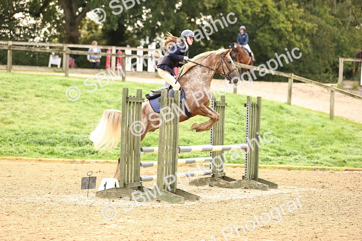 SBM_58404 - J41 - Grand Tour Horse & Pony 95cm