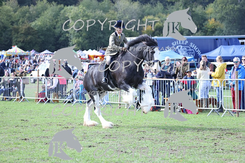 APP_3779 - Class 8 Ridden Class