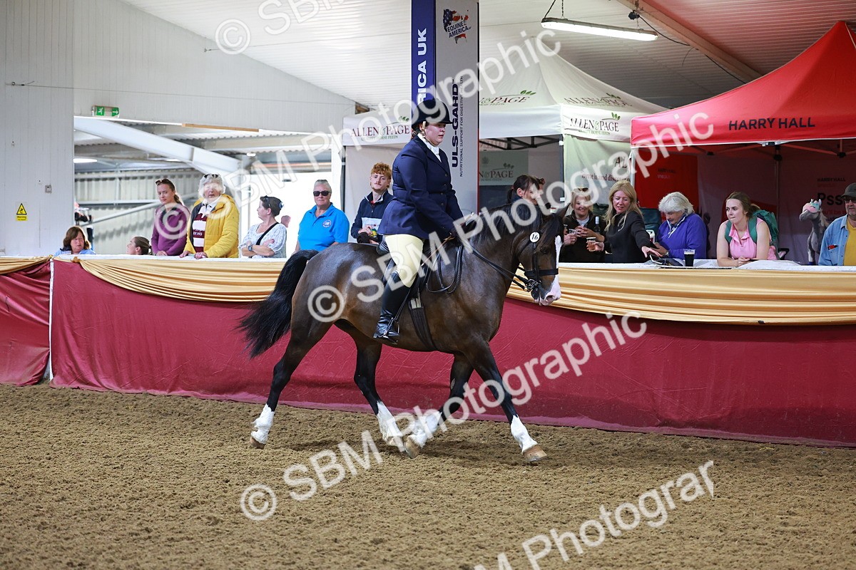 SBM_14708 - Class C - Novelty champ