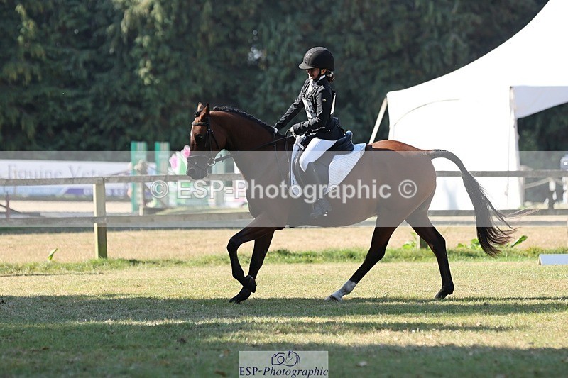 250823A-102623-27027 - Arena C