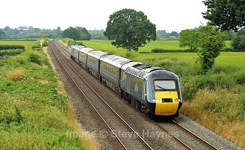 15th July 2023 - Banklands, north of Taunton, Somerset
