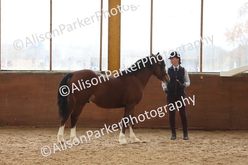 20251109-0888 - Class 26 - 2 and 4 Year Olds