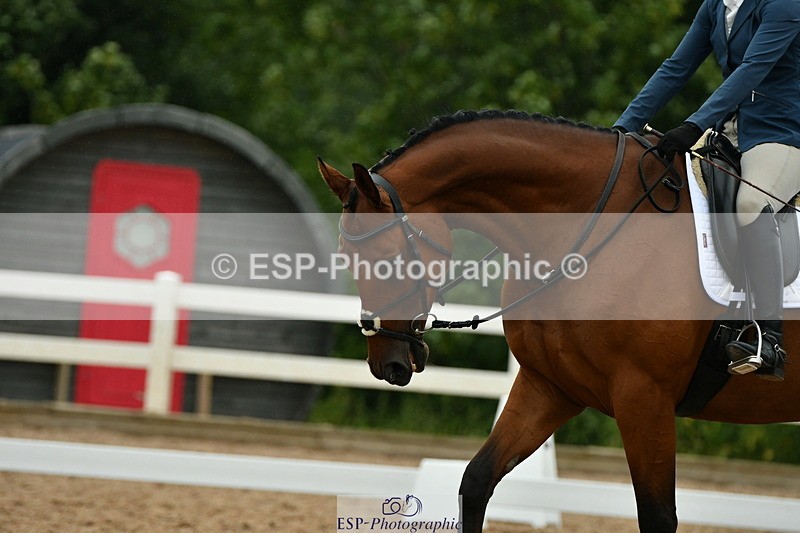 230708A-122119-01322 - Novice 23