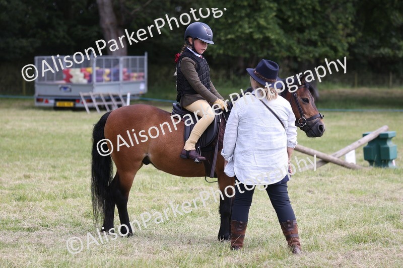 20260614-1825 - Class 21 - Novice Working Hunter Pony