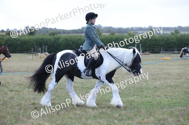 20250831-2395 - Class 16 - Family Pony