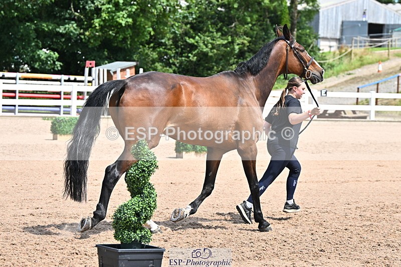 240718A-105256-01356 - Trot Up 12pm to 1pm