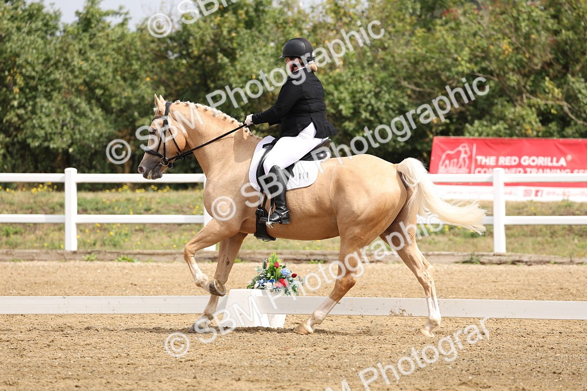 SBM_005827 - Class 6 - Novice 6 - 10.26-11.29