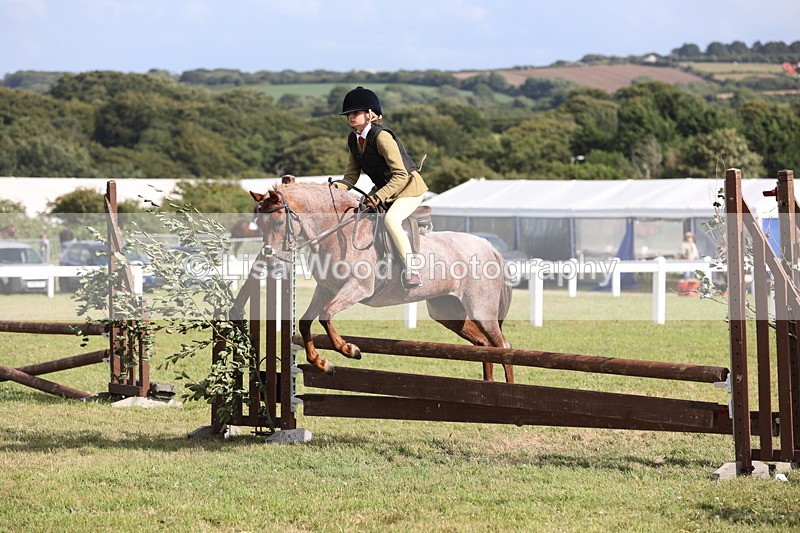 JPP_2834 - Class 20: Working Hunter 70cm