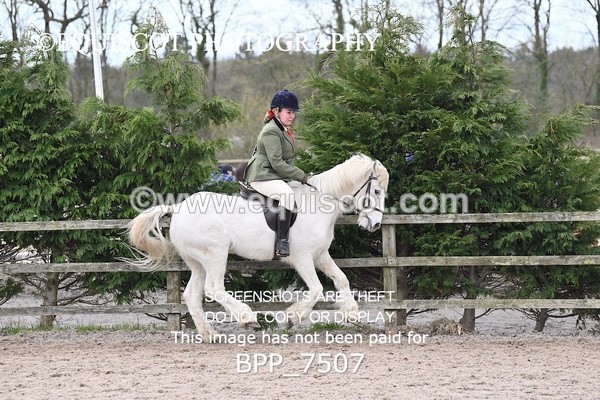 BPP_7507 - RING 1  (RIDDEN HORSES / IN HAND / VETERAN ETC)