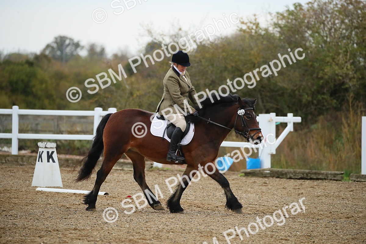 SBM_000289 - Intro 1