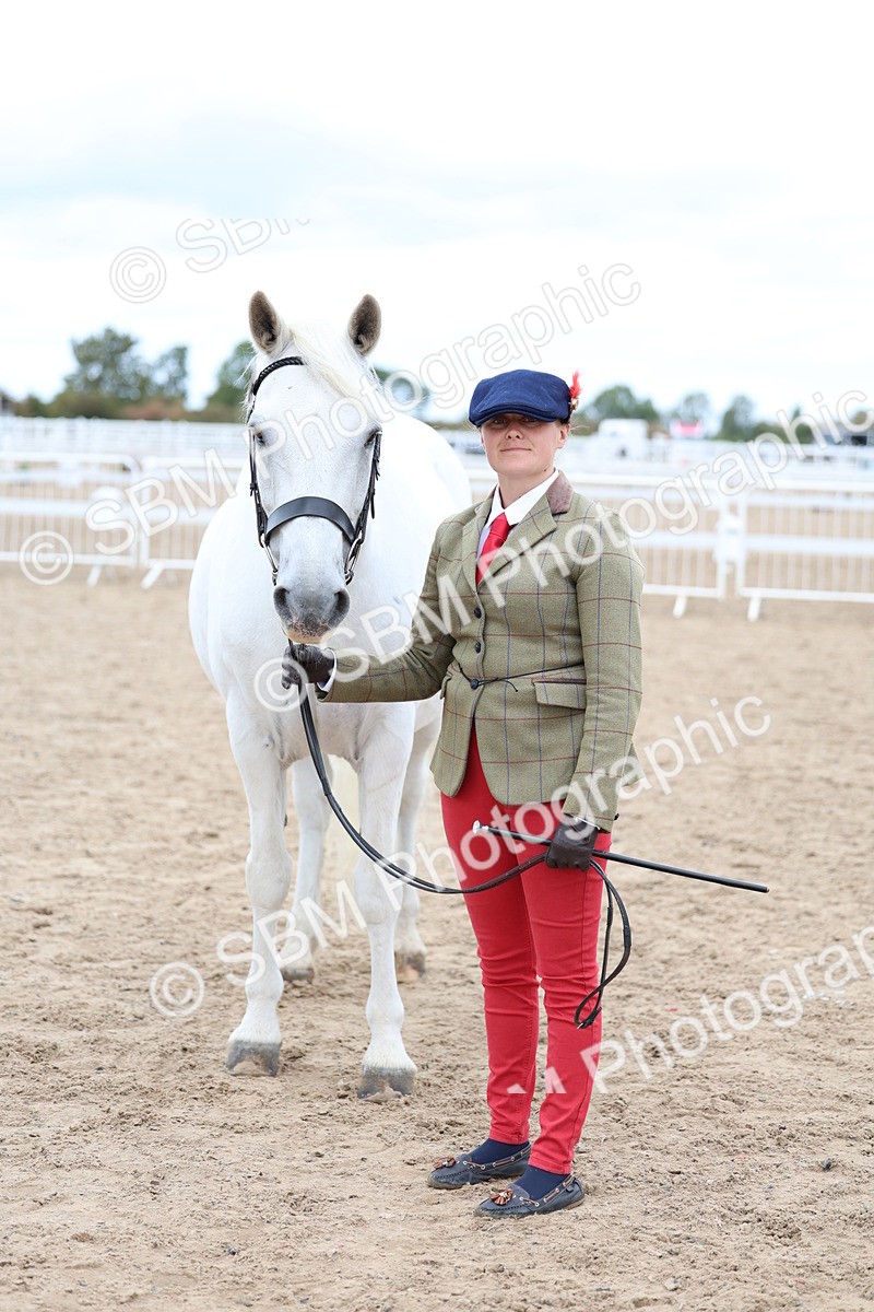 SBM_05081 - Class 27 - IH Competition Horse or Pony