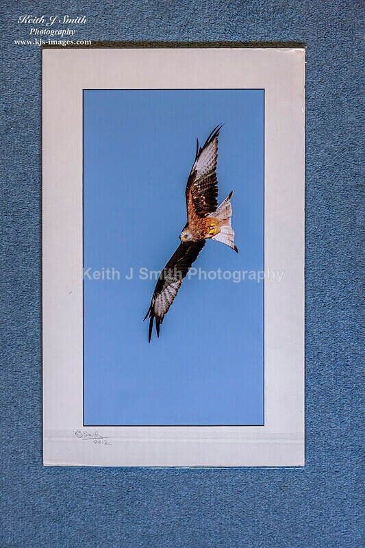 0SKJ9342. SOLD. - Mounted prints for sale.