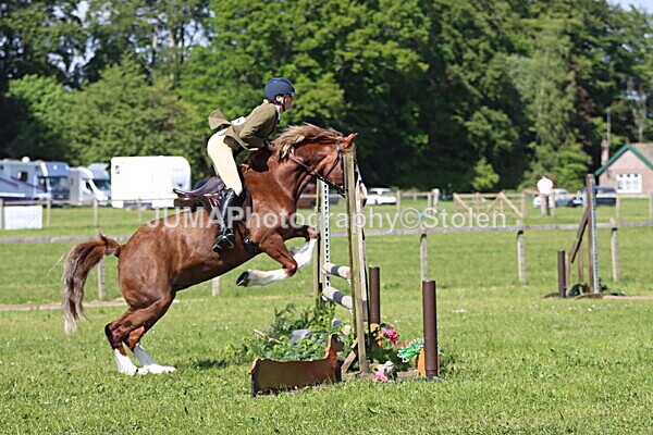 IMG_4741 - Working Hunter