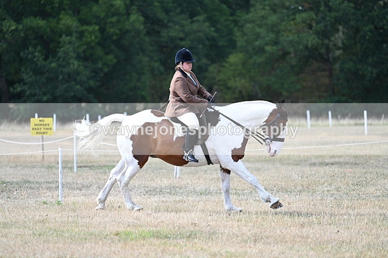 WJ7_7060 - Class 14 Ridden Coloured