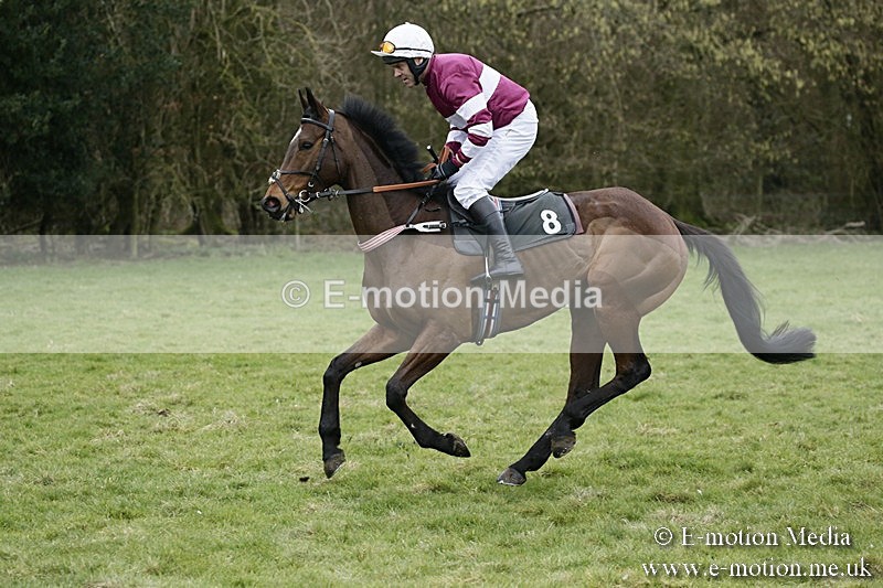 PtP 110318 45 - Hampshire Hunt Point-to-Point Hackwood Park 11/03/18