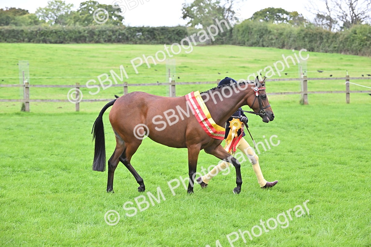 SBM_65064 - In Hand Pony & Younstock Supreme Championship