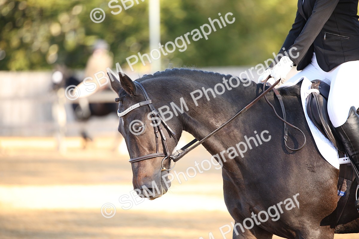 SBM_14656 - D31 - Grand Tour - PYO Open