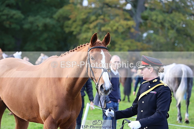 251026A-100120-22670 - D-321-Kirstie.Deakin-Main