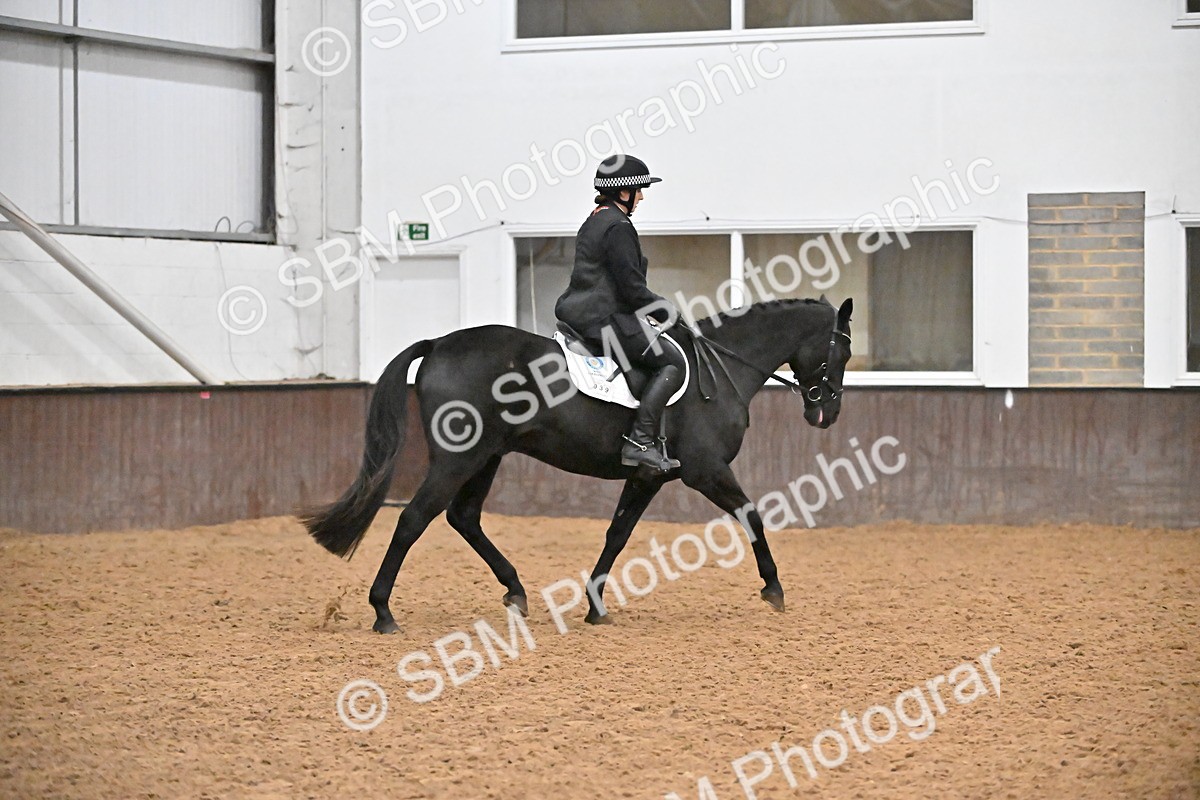 SBM_002978 - Class 37,38 - UKPSAF Performance Horse & Pony