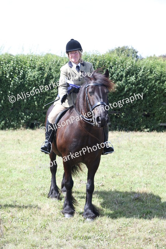 20250831-3000 - Class 19 - Mountain and Moorland