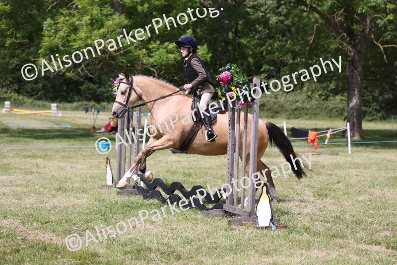 20260614-1784 - Class 21 - Novice Working Hunter Pony