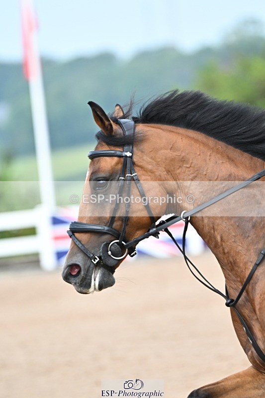 240801A-103254-00290 - Cls 8 85cm Amateur Qualifier