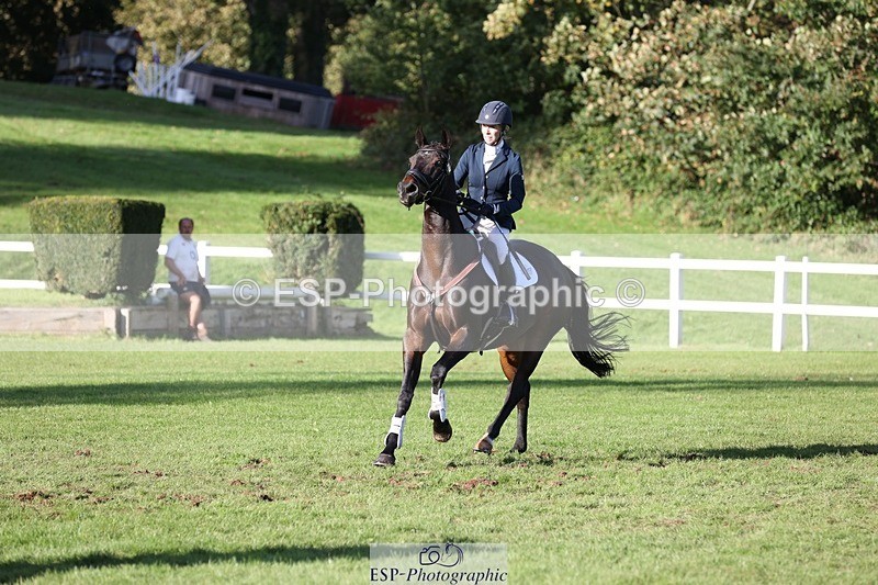 231022-153932-29870 - 465-LANGALLER.ALPHA.BRAVO-Cheryl.Beer-TrotUp+SJ