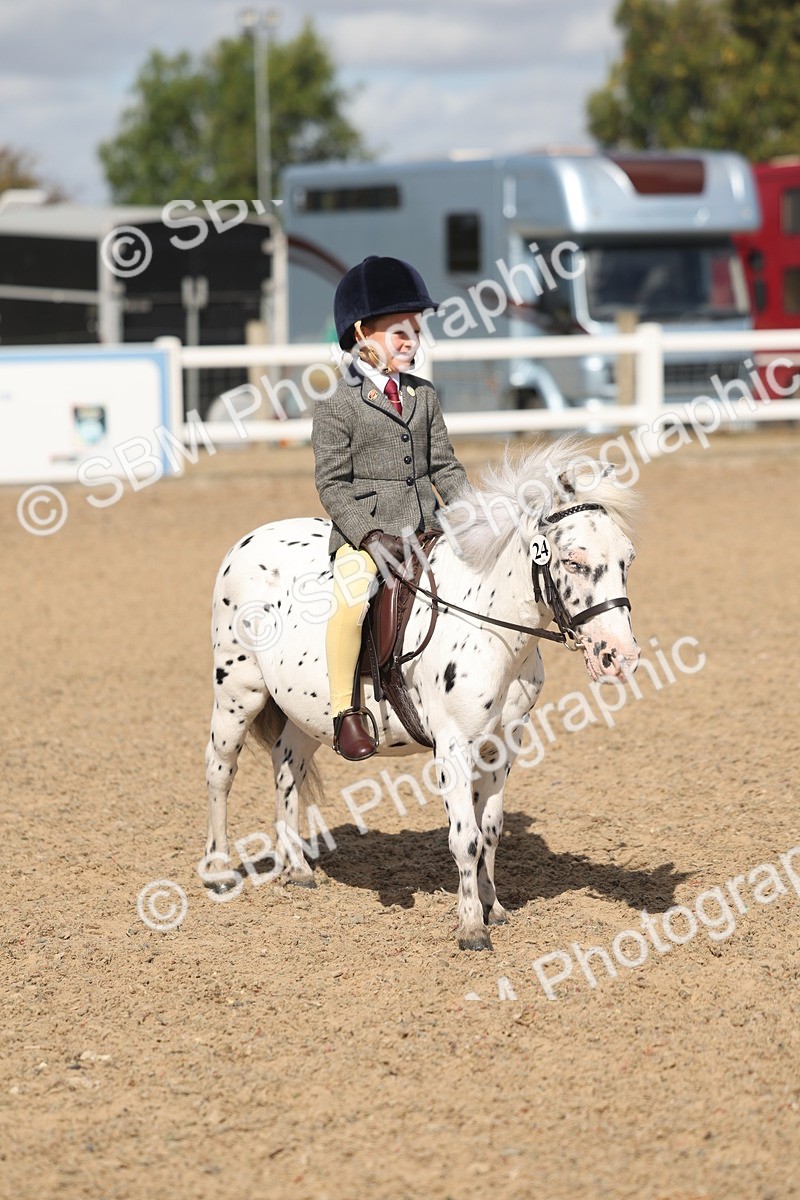SBM_23159 - Class 806 - Young Rider 10ry and Under