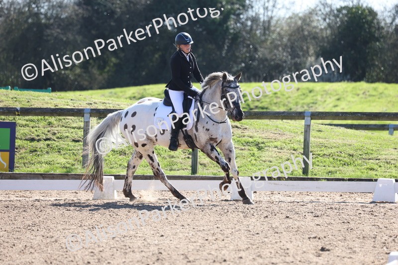 20260318-0471 - Class 5 - Novice 2