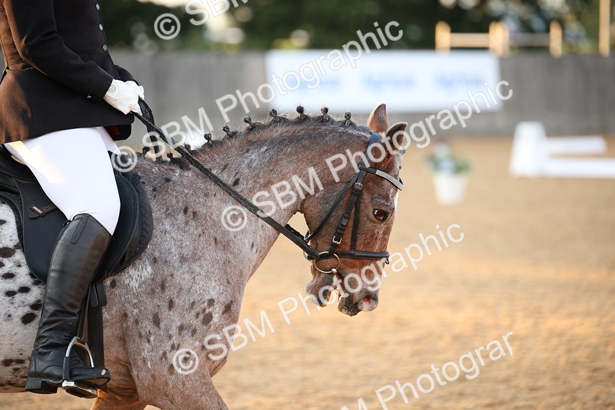 SBM_13360 - D3 Small  Tour Championship Intro A