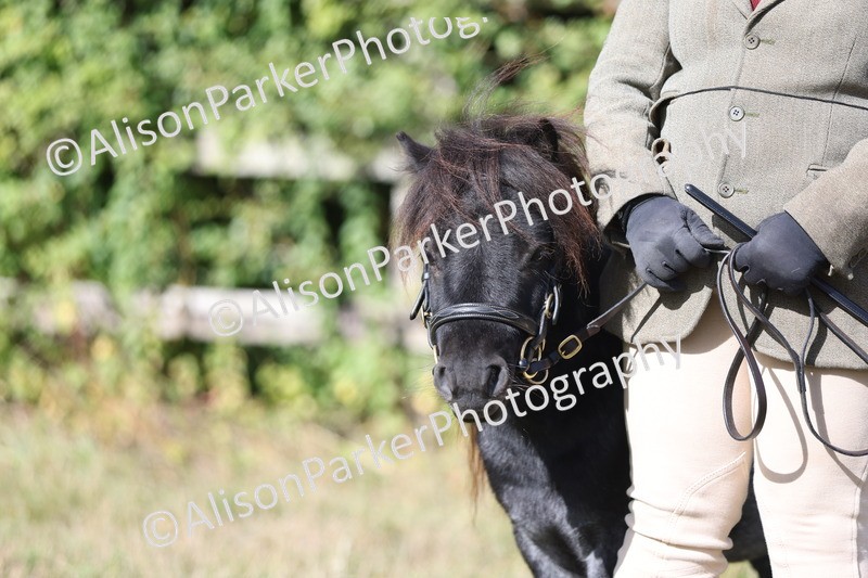 20250831-1475 - Class 21 - Inhand Open