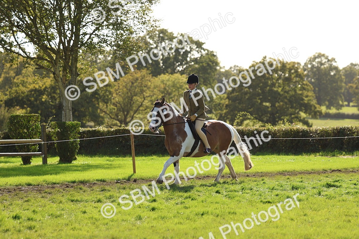 SBM_52451 - S13 - Pony Club Pony