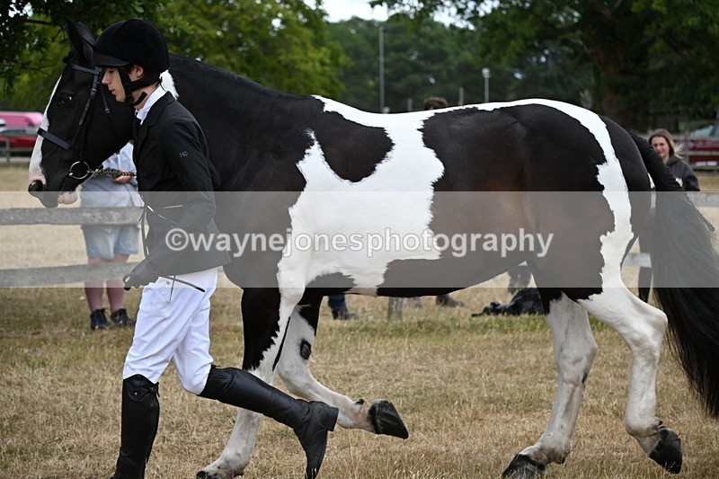 WJ6_8225 - Class 10 Coloured in Hand
