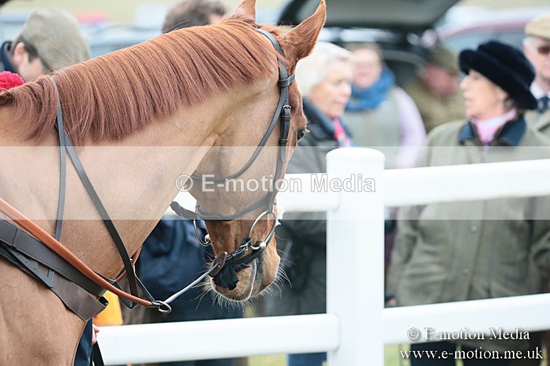 PtP 170219 -522 - Combined Services Point-To-Point Larkhill 17/02/19