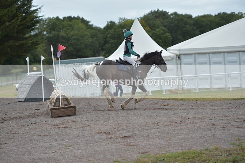 NGP_2741 - XC Time 11:37 to 11:57