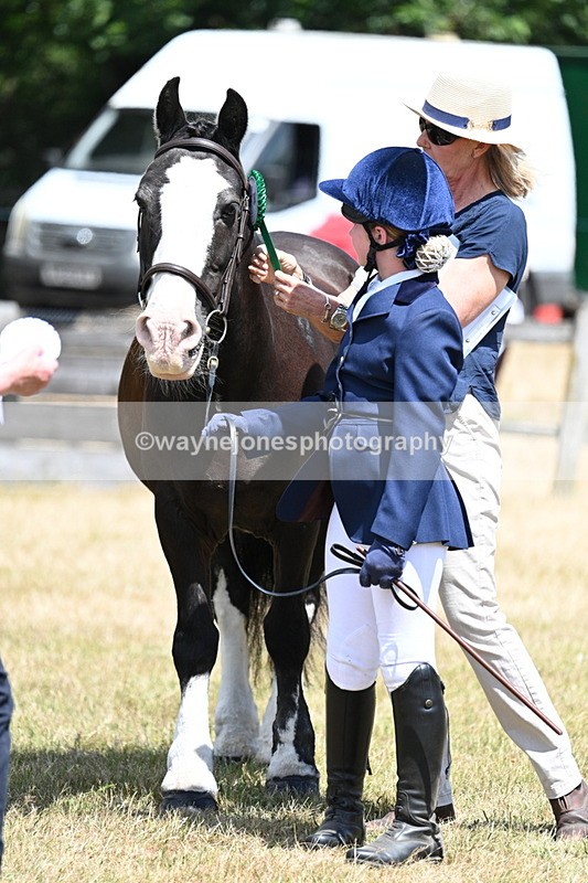 WJ7_2262 - Class 5 Most Handsome Gelding (up to 14.2hh) in hand