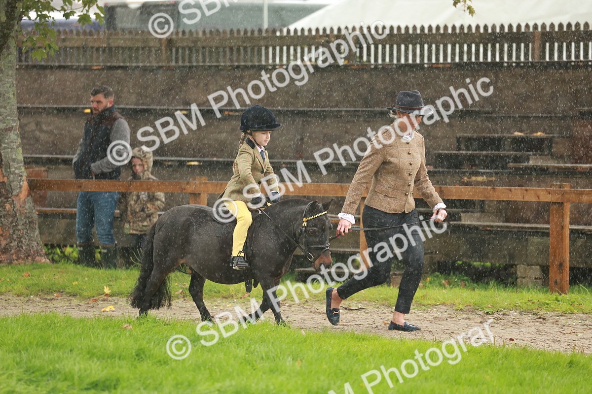 SBM_33654 - S9 - Lead Rein Equitation