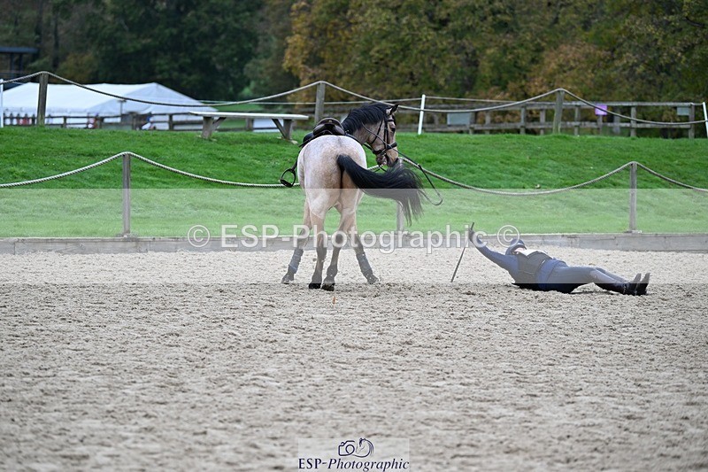 241116-105710-00727 - Cls 2 80-85cm Start to 11.30