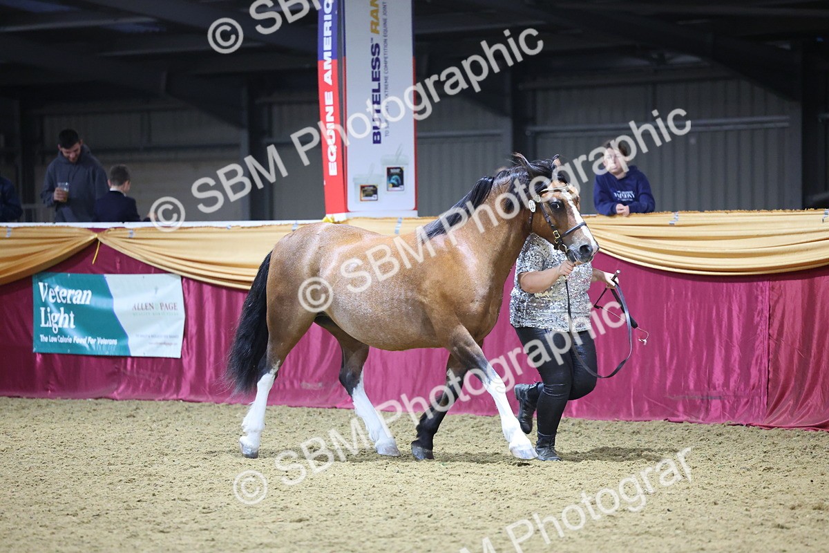 0B8A4402 - Class N M&M Champ