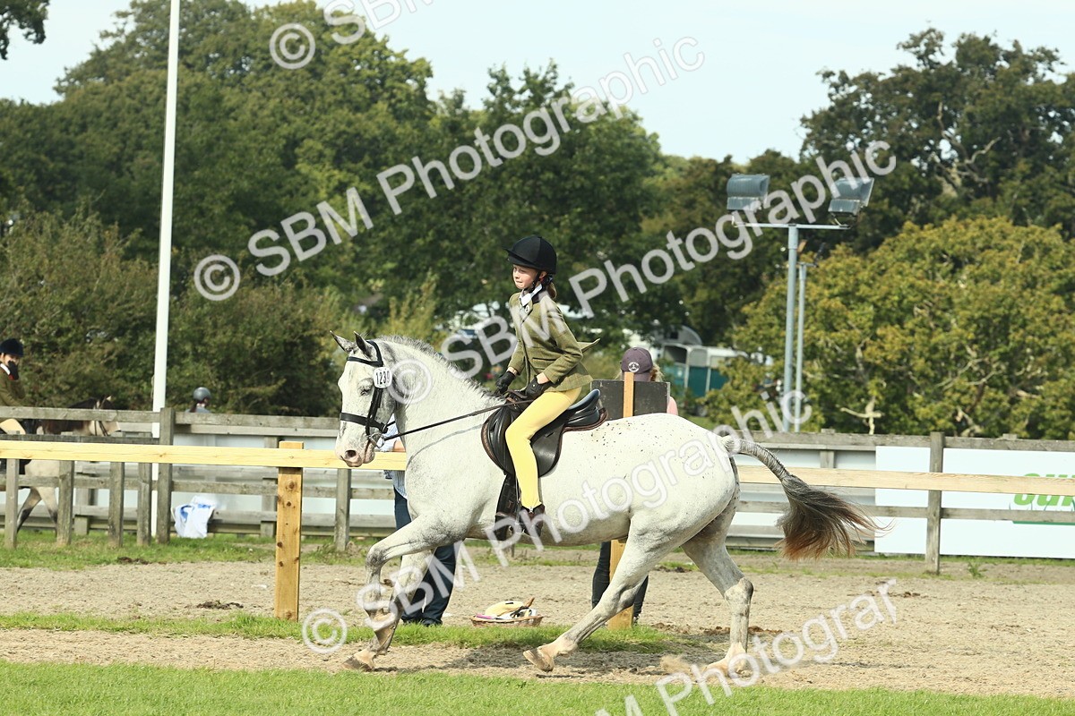 SBM_67552 - S56 - Coloured Pony Ridden