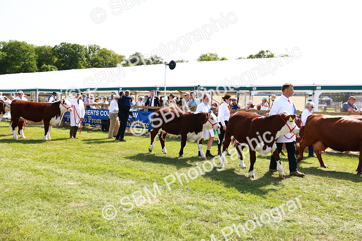 SBM_08448 - Grand Parade