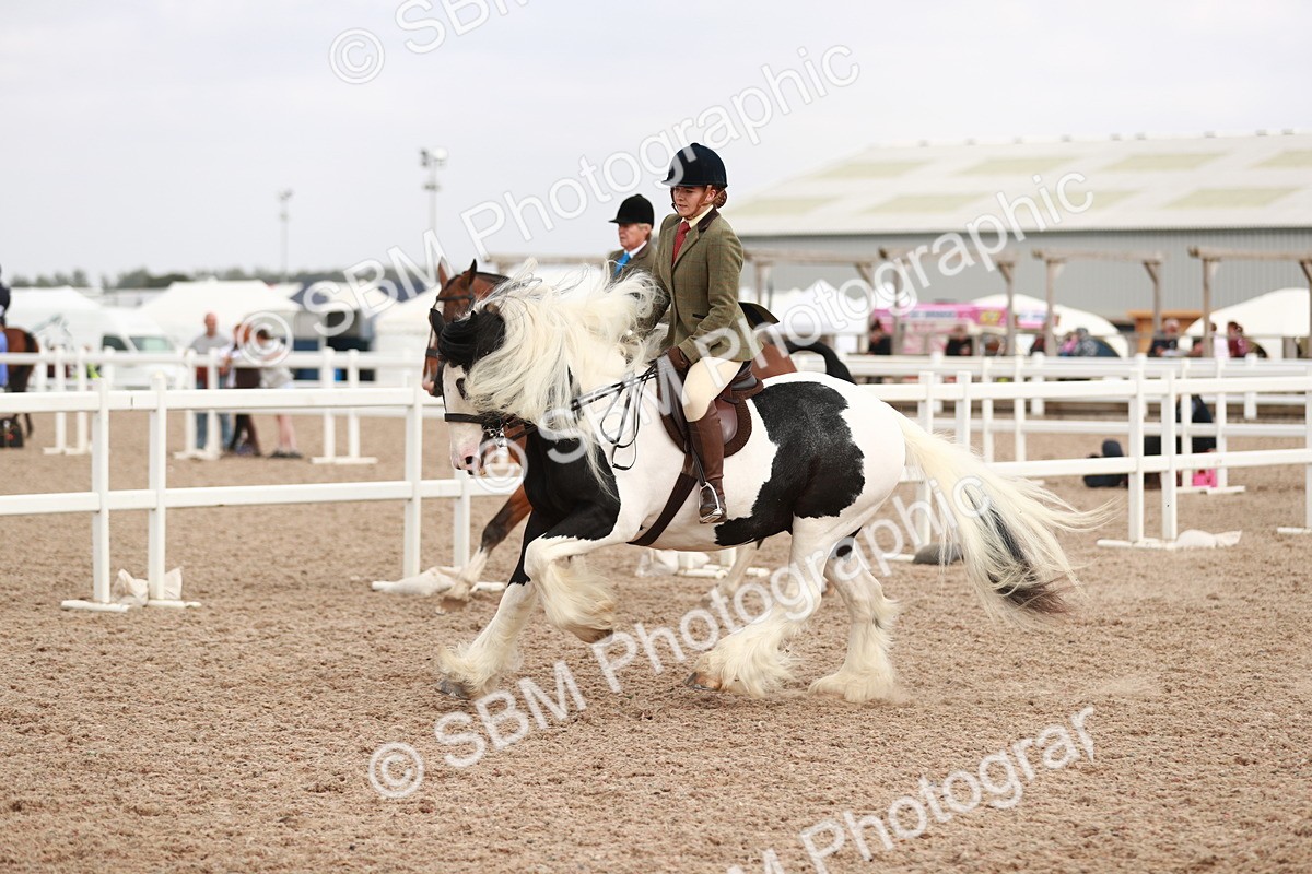 SBM_16691 - Class 214 Ridden Cob
