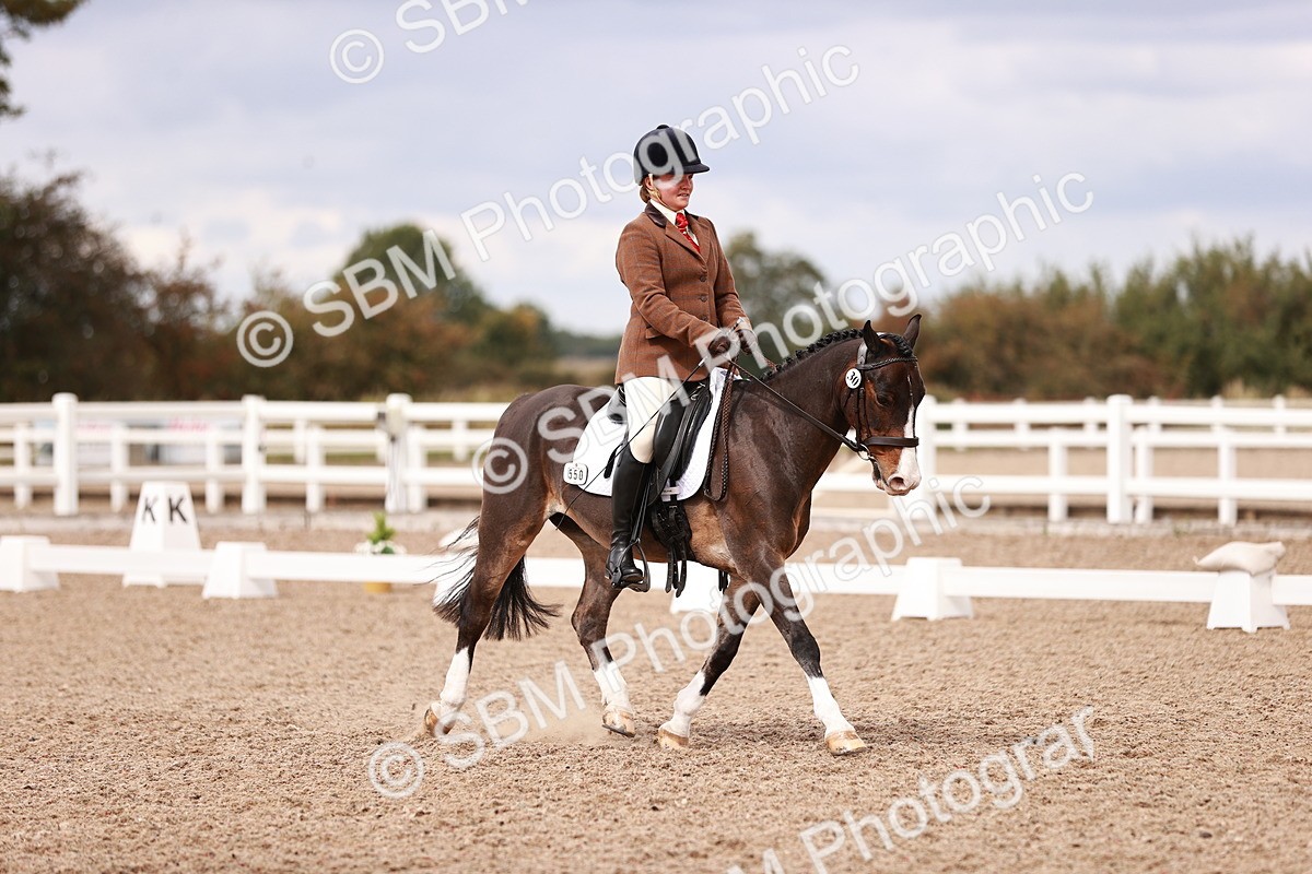 SBM_06256 - Class 37 - Novice 5