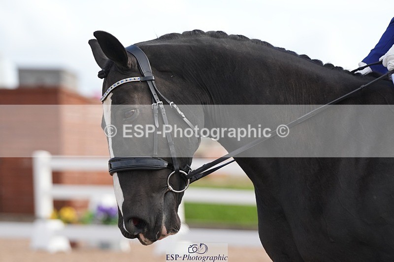 250906-105728-01362 - 062-Lauren.CoxPurely.Pandora