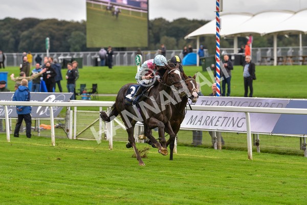 131023-Race 2-Lordship-9195 - Race 2 2.40pm William Hill Finale Handicap