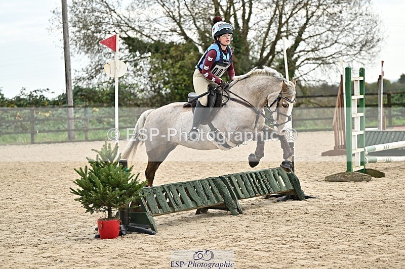 241110-120251-00577 - 50-55cm Arena Eventing