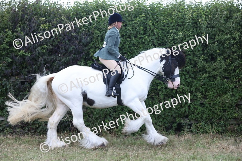 20250831-4258 - Class 20 - Ridden Coloured