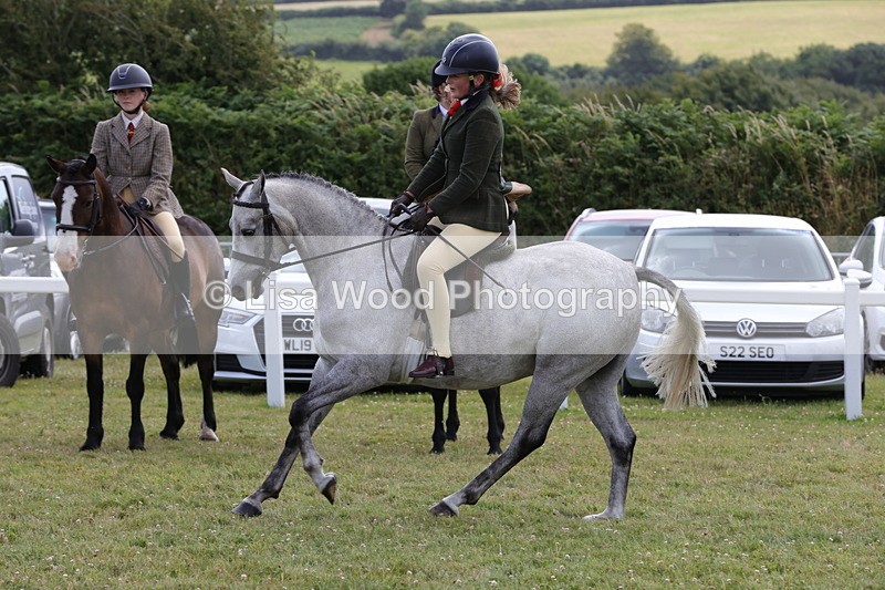 1X9A4037 - Class 32: Show Hunter Pony 153cm and under