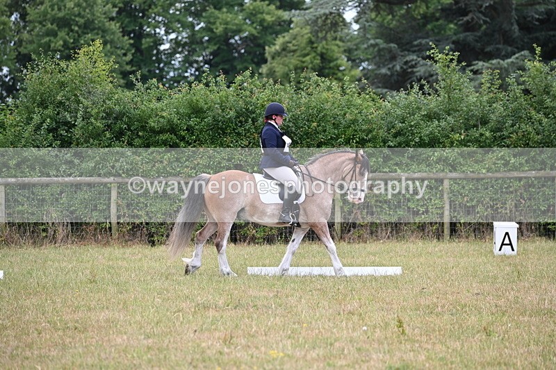 WJ6_3130 - Time 11:07 to 11:34