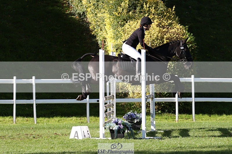 231022-143341-28203 - 505-MR.DARCY-Eleanor.Newcombe-TrotUp+SJ